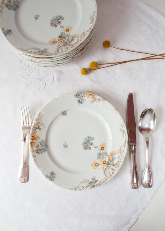antiguos platos porcelana alemana