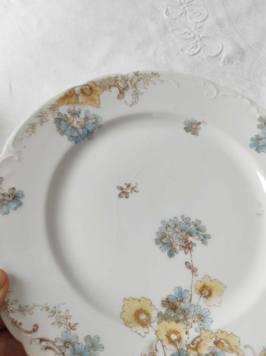 Juego de 8 platos llanos porcelana alemana Fritz Pfeffer (Gotha) c. 1900–1930s