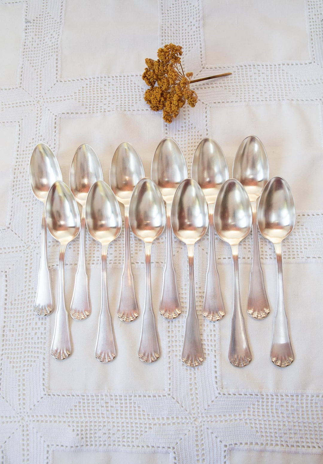 Juego 12 CUCHARAS MESA con iniciales monogramas ERCUIS Coquille