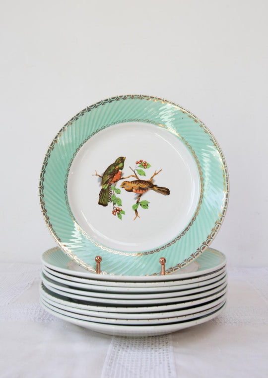 Juego 10 platos LLANOS franceses loza verde y pájaros 1960s (23 cm)