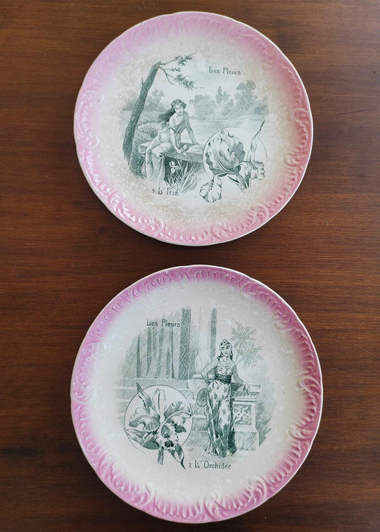 Dos platos terre de fer Sarreguemines "Les fleurs" s. XIX
