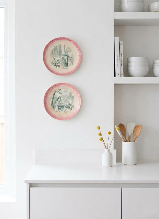 Dos platos terre de fer Sarreguemines "Les fleurs" s. XIX