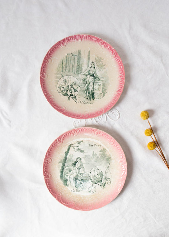 Dos platos terre de fer Sarreguemines "Les fleurs" s. XIX