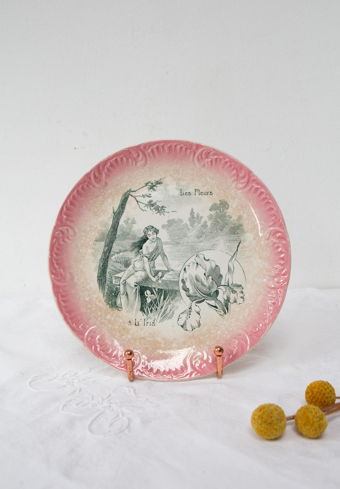 Dos platos terre de fer Sarreguemines "Les fleurs" s. XIX