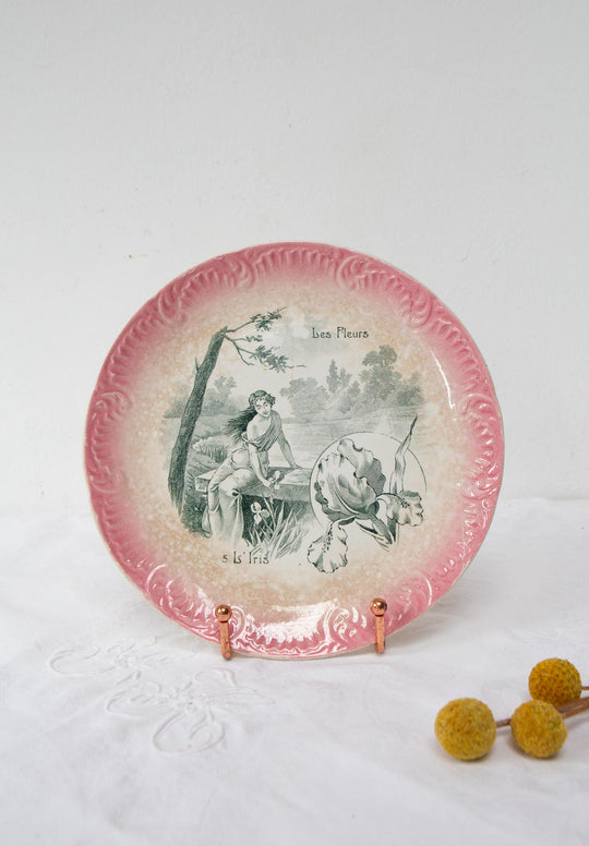 Dos platos terre de fer Sarreguemines "Les fleurs" s. XIX