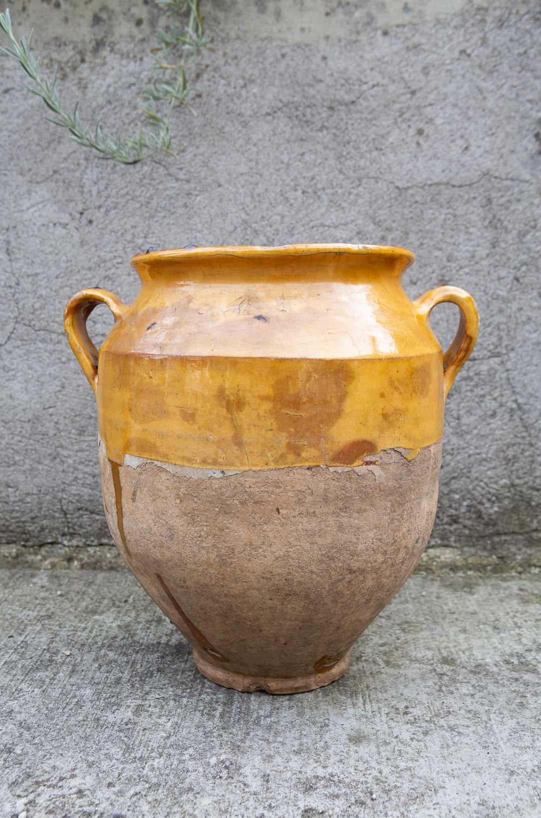 Vasija francesa barro esmaltado para confit s. XIX (26 cm alto)