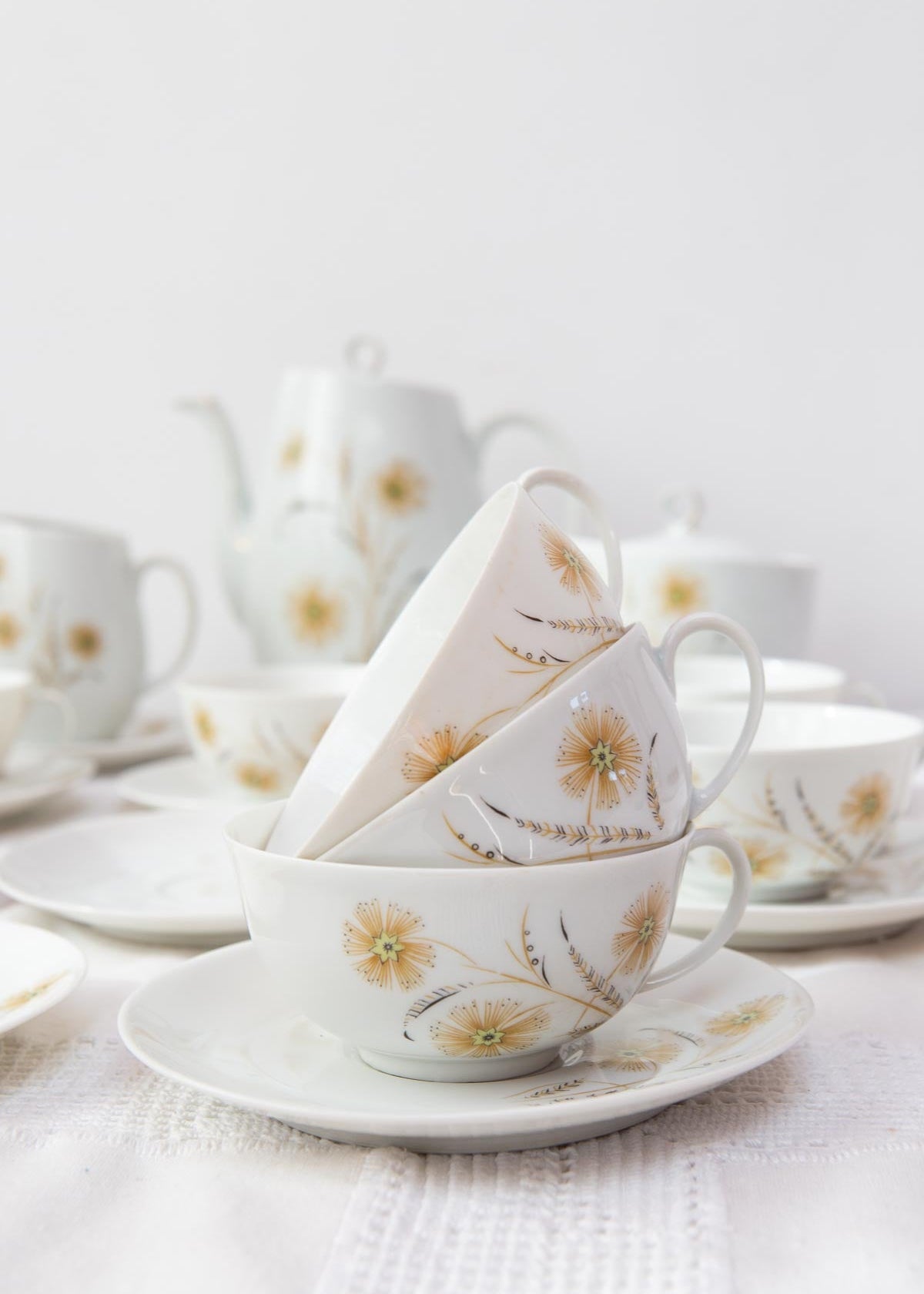 juego de porcelana francesa limoges