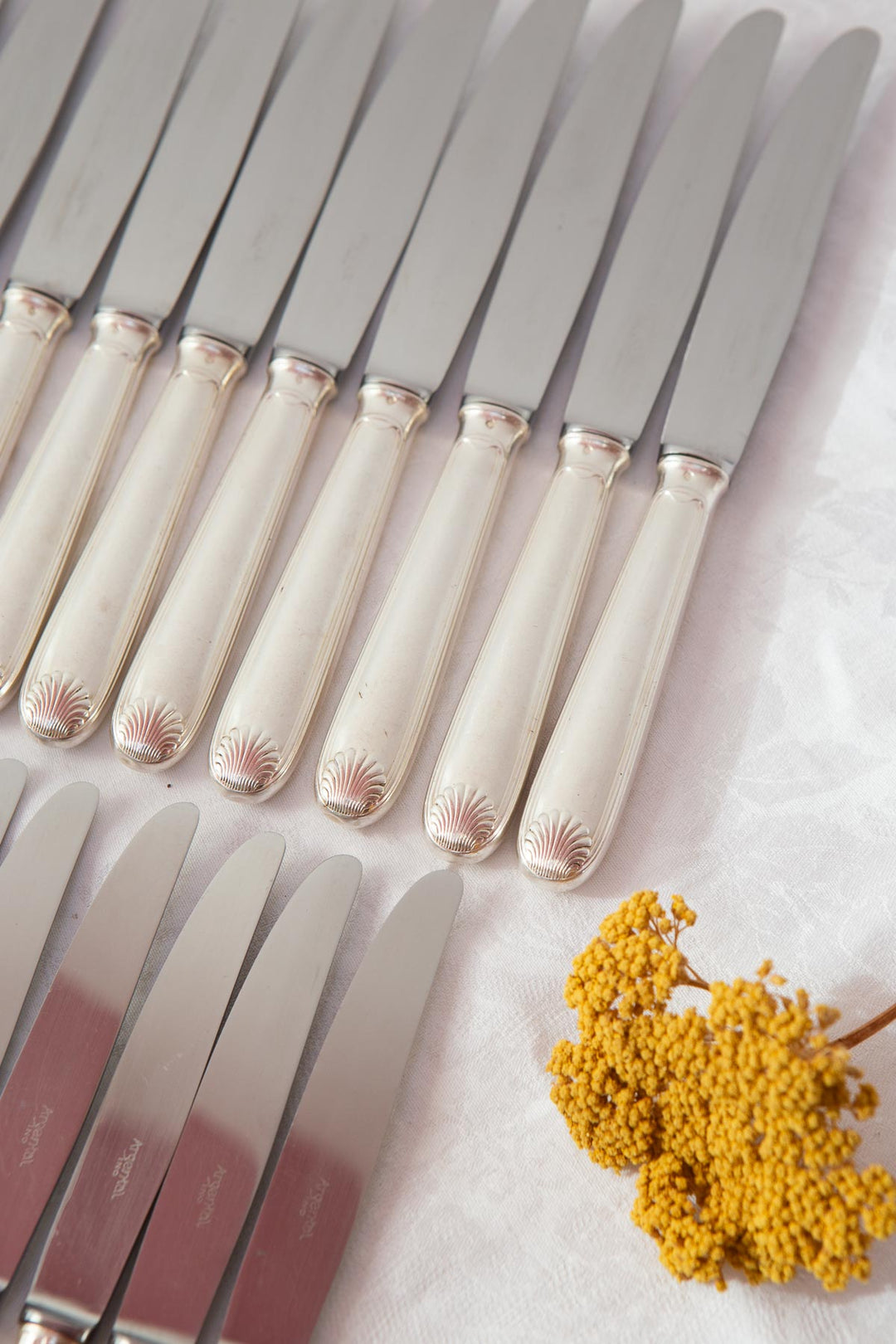 Juego cuchillos franceses MESA y ENTRANTES PARA 12 Argental (24 PIEZAS)