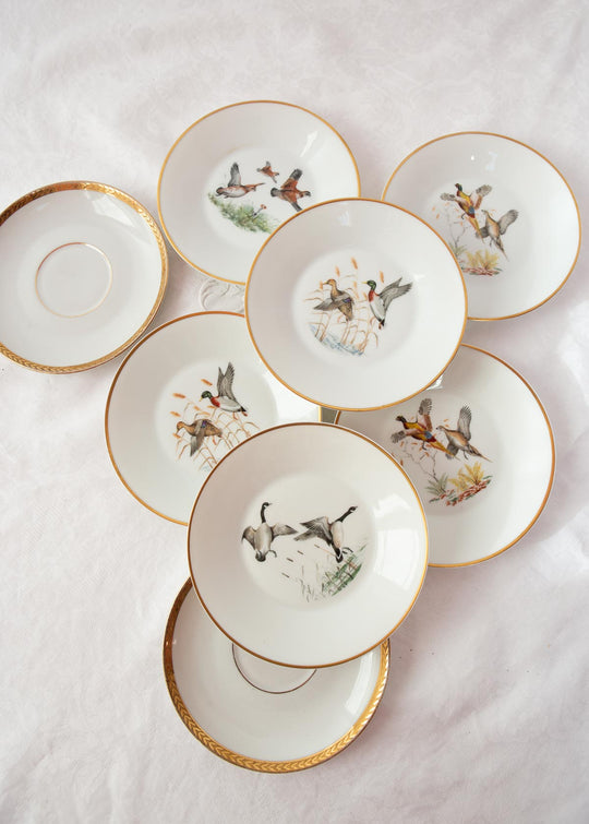Juego de taza de té y platillo Porcelaine de Paris "pájaros" (1/6)