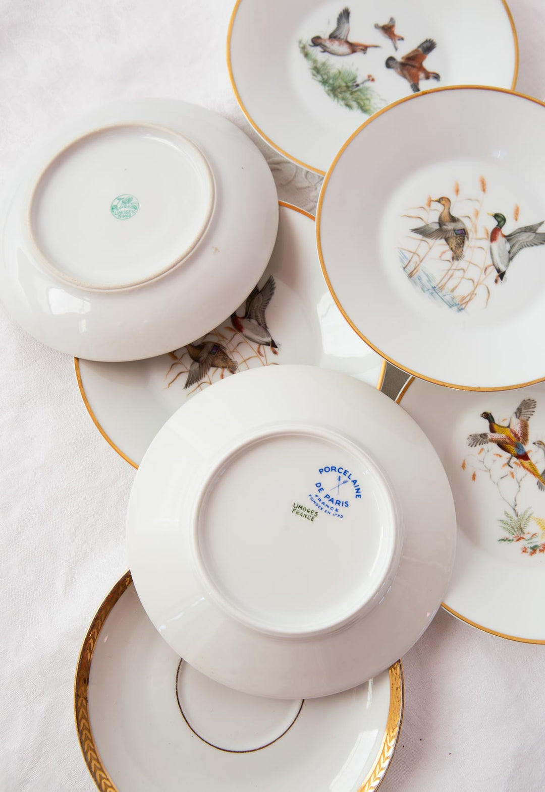 Juego de taza de té y platillo Porcelaine de Paris "pájaros" (1/6)