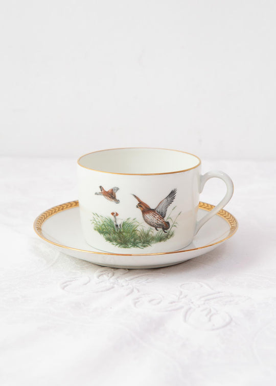Juego de taza de té y platillo Porcelaine de Paris "pájaros" (1/6)