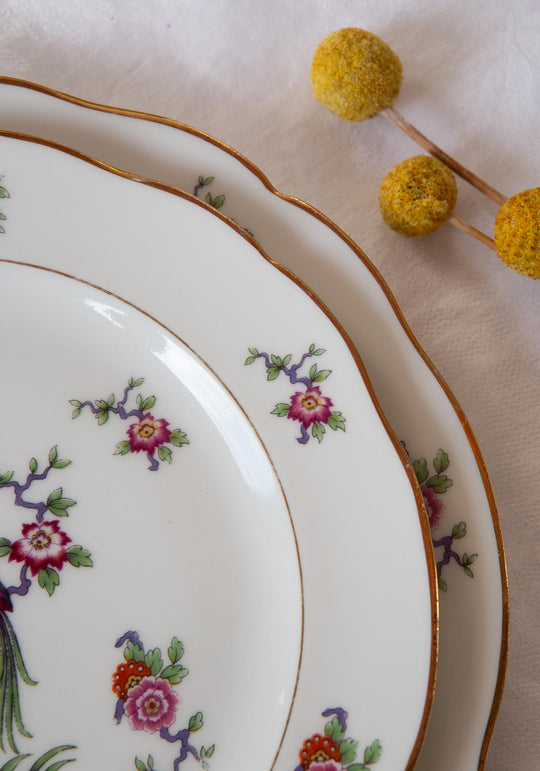 Vajilla de porcelana francesa Limoges ave paraíso C. 1950s. 1900/10 (48 PIEZAS)