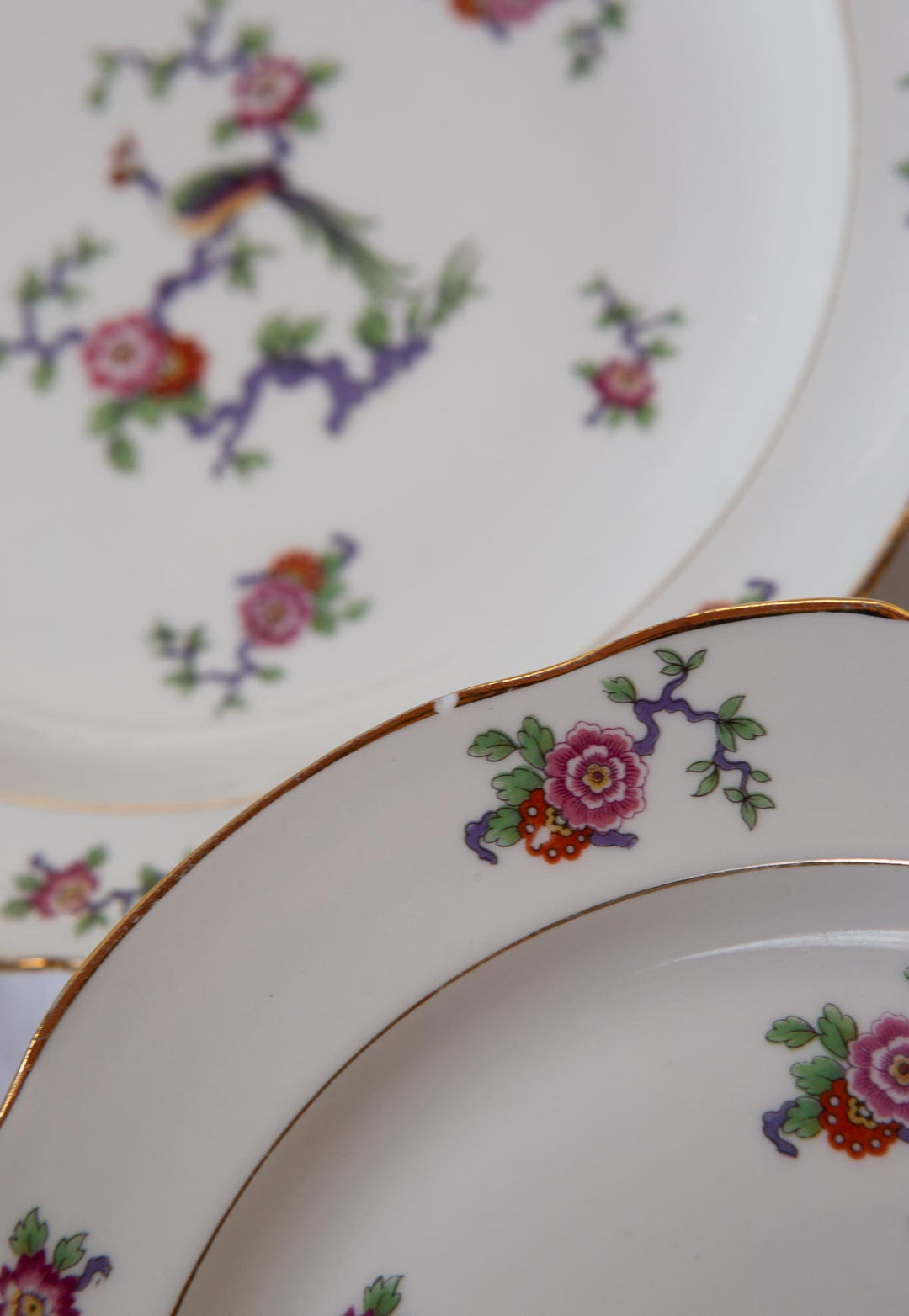 Vajilla de porcelana francesa Limoges ave paraíso C. 1950s. 1900/10 (48 PIEZAS)