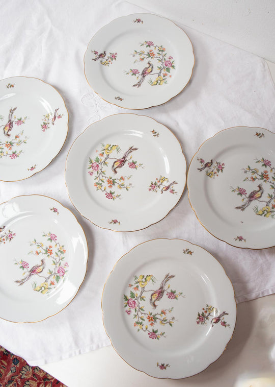 Juego 6 platos llanos porcelana alemana Kahla G.D.R "ave paraíso"