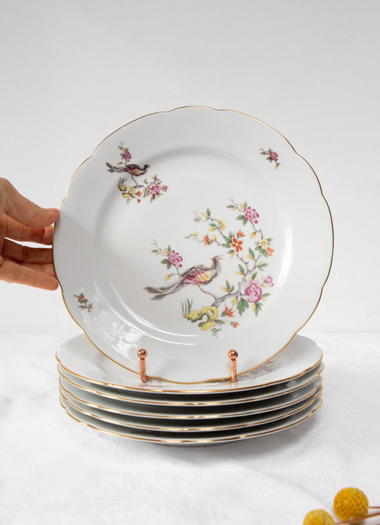 Juego 6 platos llanos porcelana alemana Kahla G.D.R "ave paraíso"