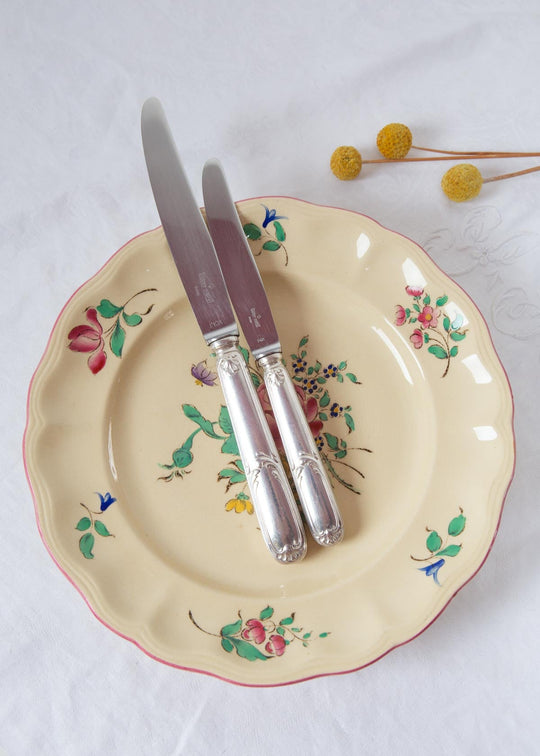 Juego cuchillos MESA y ENTRANTES franceses Ravinet d'Enfert para 10 (21 PIEZAS)