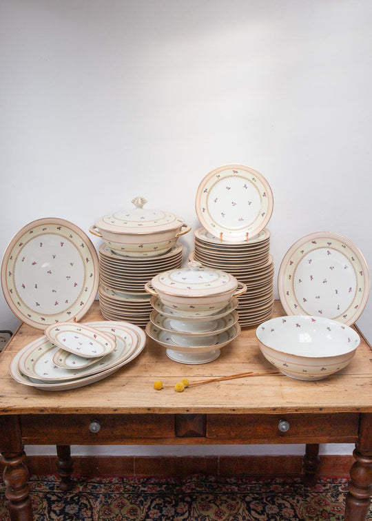 Antigua vajilla francesa porcelana Limoges Charles Haviland florecillas c. 1940s (62 PIEZAS)