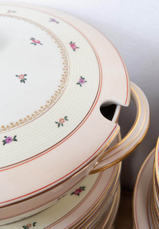 Antigua vajilla francesa porcelana Limoges Charles Haviland florecillas c. 1940s (62 PIEZAS)