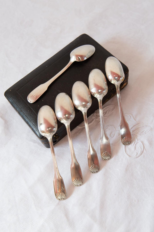 Juego de 6 cucharillas francesas metal argenté Apollo "coquille" en estuche