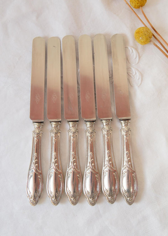 Juego 6 cuchillos franceses antiguos metal baño plata estilo Louis XV