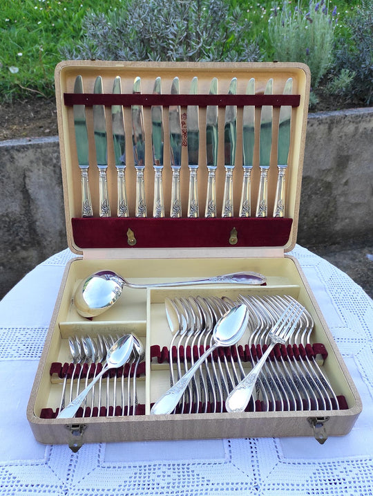 Cubertería francesa para 12 metal baño plata 100 APOLLO en estuche (49 PIEZAS)
