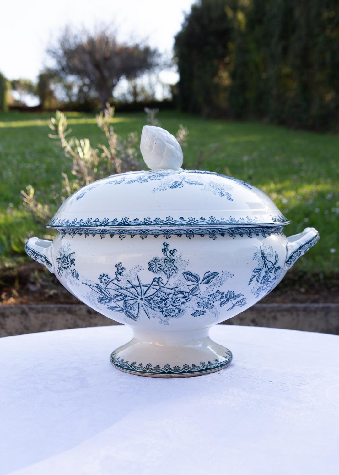 sopera terre de fer amandinoise margot