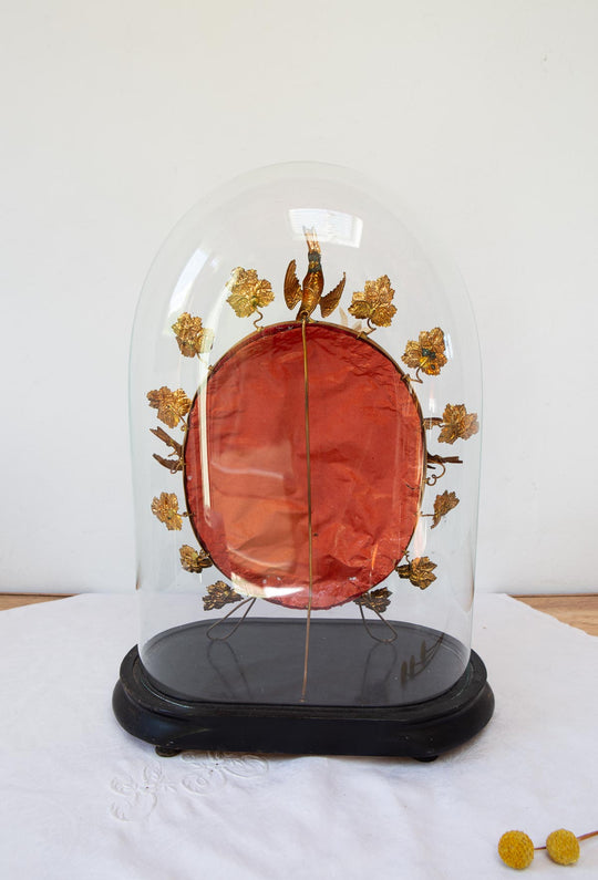 Antiguo fanal o "globe mariée" francés s. XIX (44 cm)