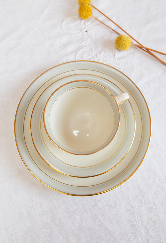 Juego de café para 12 porcelana alemana Frisia | KPM Copenhague Fredensborg c. 1950s (39 PIEZAS)