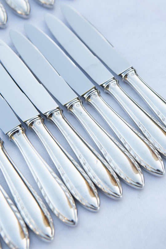 Juego cuchillos MESA y ENTRANTES franceses baño plata y acero inox (24 PIEZAS)