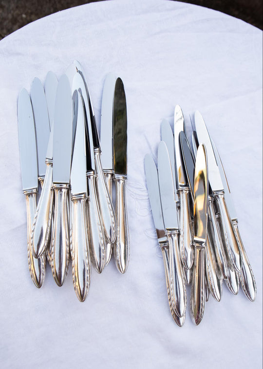 Juego cuchillos MESA y ENTRANTES franceses baño plata y acero inox (24 PIEZAS)