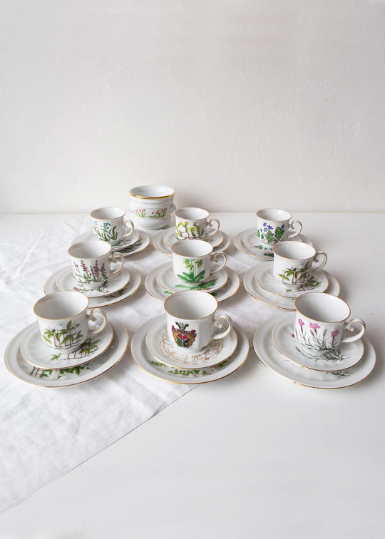 Juego de café y postre PARA 9 porcelana Tettau botánica "Carl von Linné" 1970-80s (28 PIEZAS)