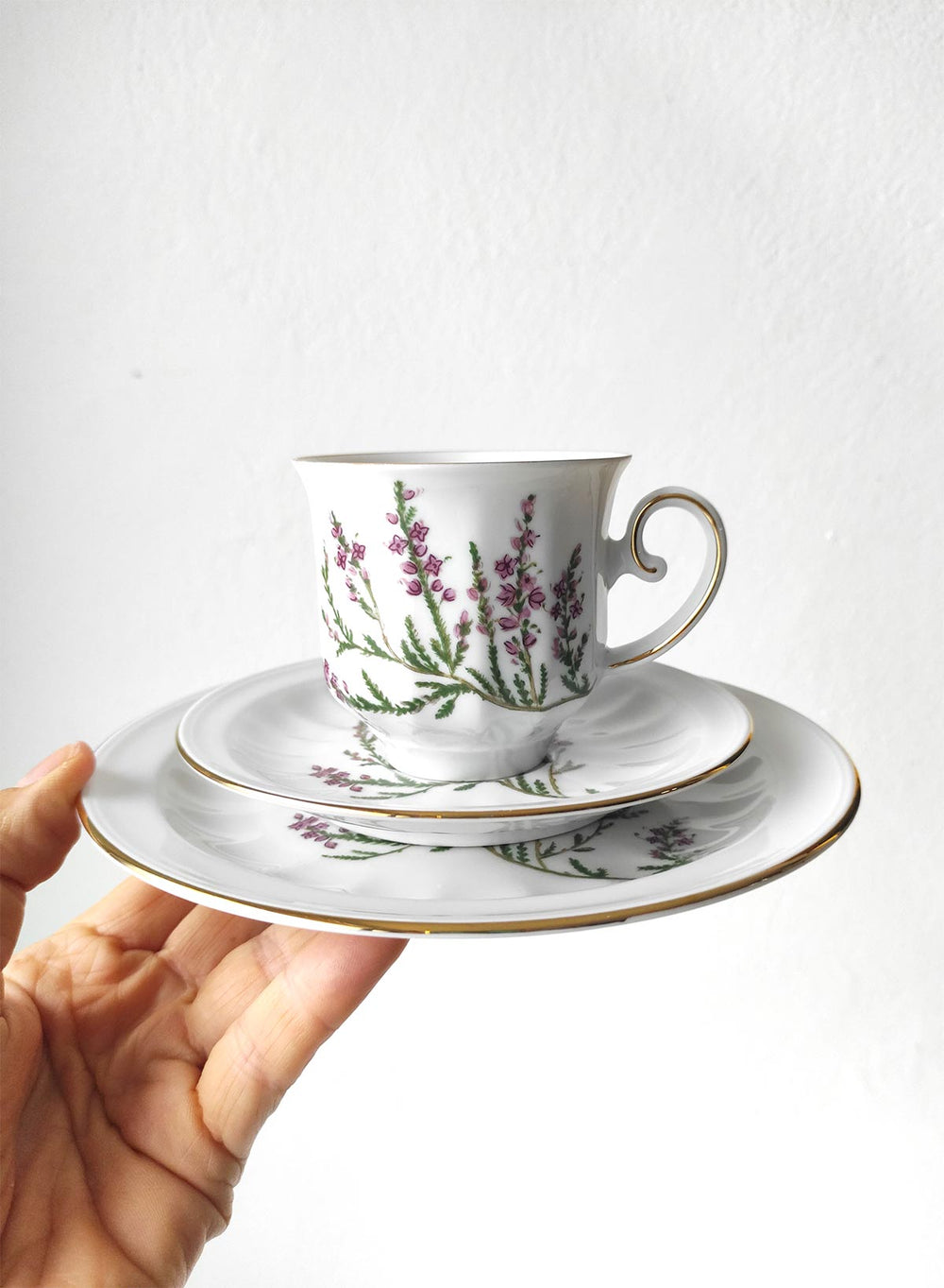 Juego de café y postre PARA 9 porcelana Tettau botánica "Carl von Linné" 1970-80s (28 PIEZAS)
