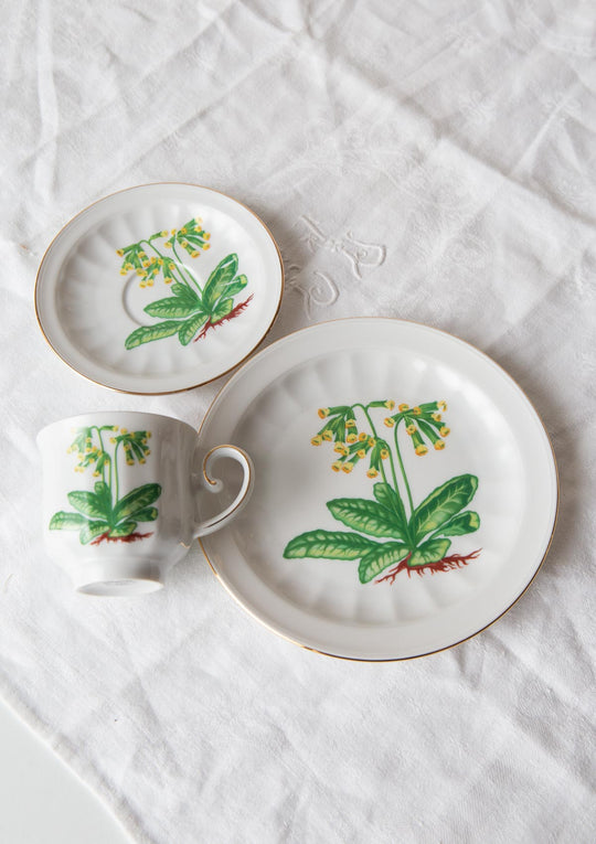 Juego de café y postre PARA 9 porcelana Tettau botánica "Carl von Linné" 1970-80s (28 PIEZAS)