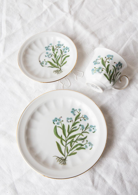 Juego de café y postre PARA 9 porcelana Tettau botánica "Carl von Linné" 1970-80s (28 PIEZAS)