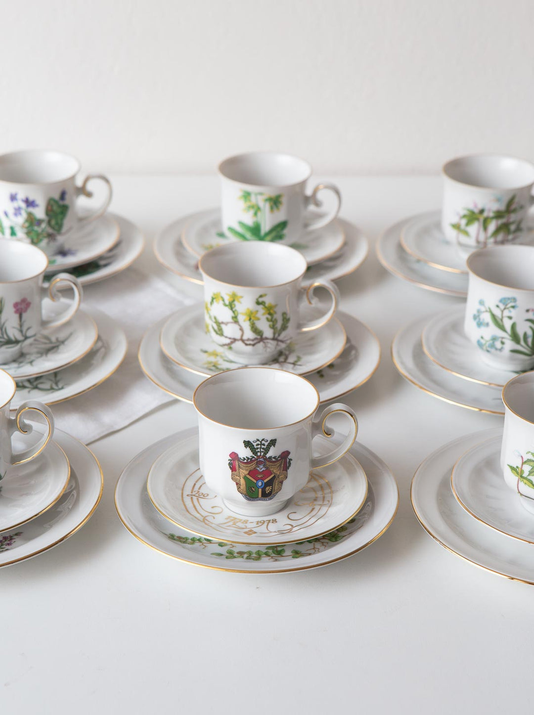 Juego de café y postre PARA 9 porcelana Tettau botánica "Carl von Linné" 1970-80s (28 PIEZAS)