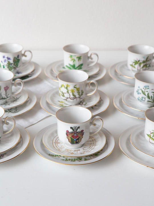 Juego de café y postre PARA 9 porcelana Tettau botánica "Carl von Linné" 1970-80s (28 PIEZAS)
