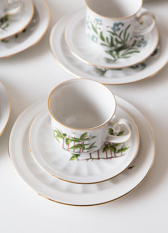 Juego de café y postre PARA 9 porcelana Tettau botánica "Carl von Linné" 1970-80s (28 PIEZAS)