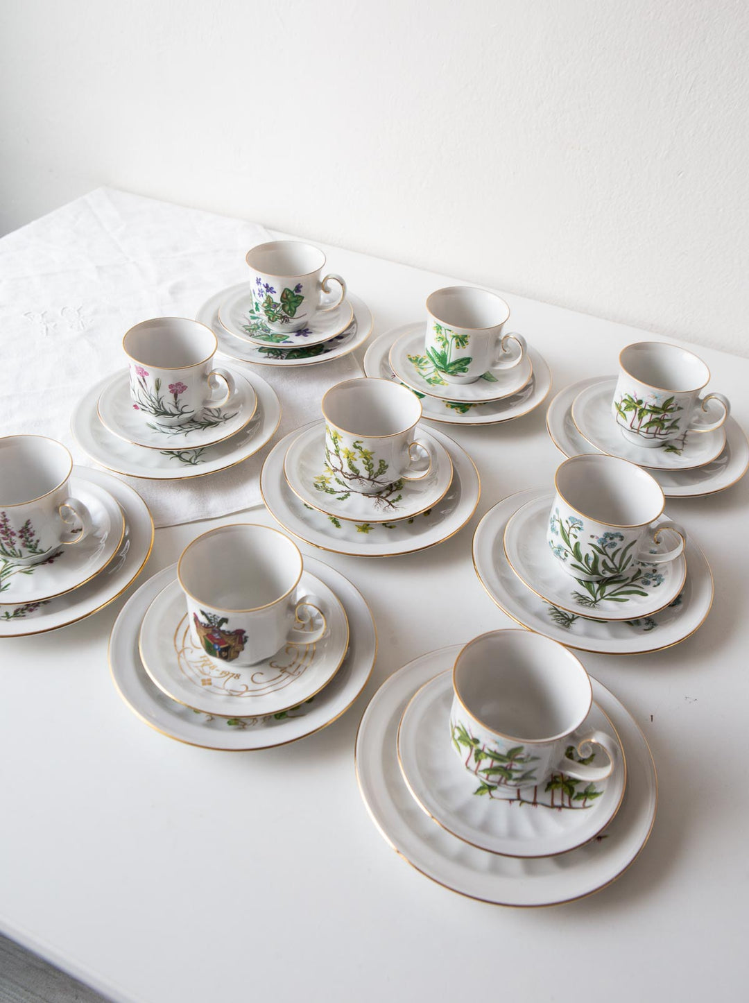 Juego de café y postre PARA 9 porcelana Tettau botánica "Carl von Linné" 1970-80s (28 PIEZAS)