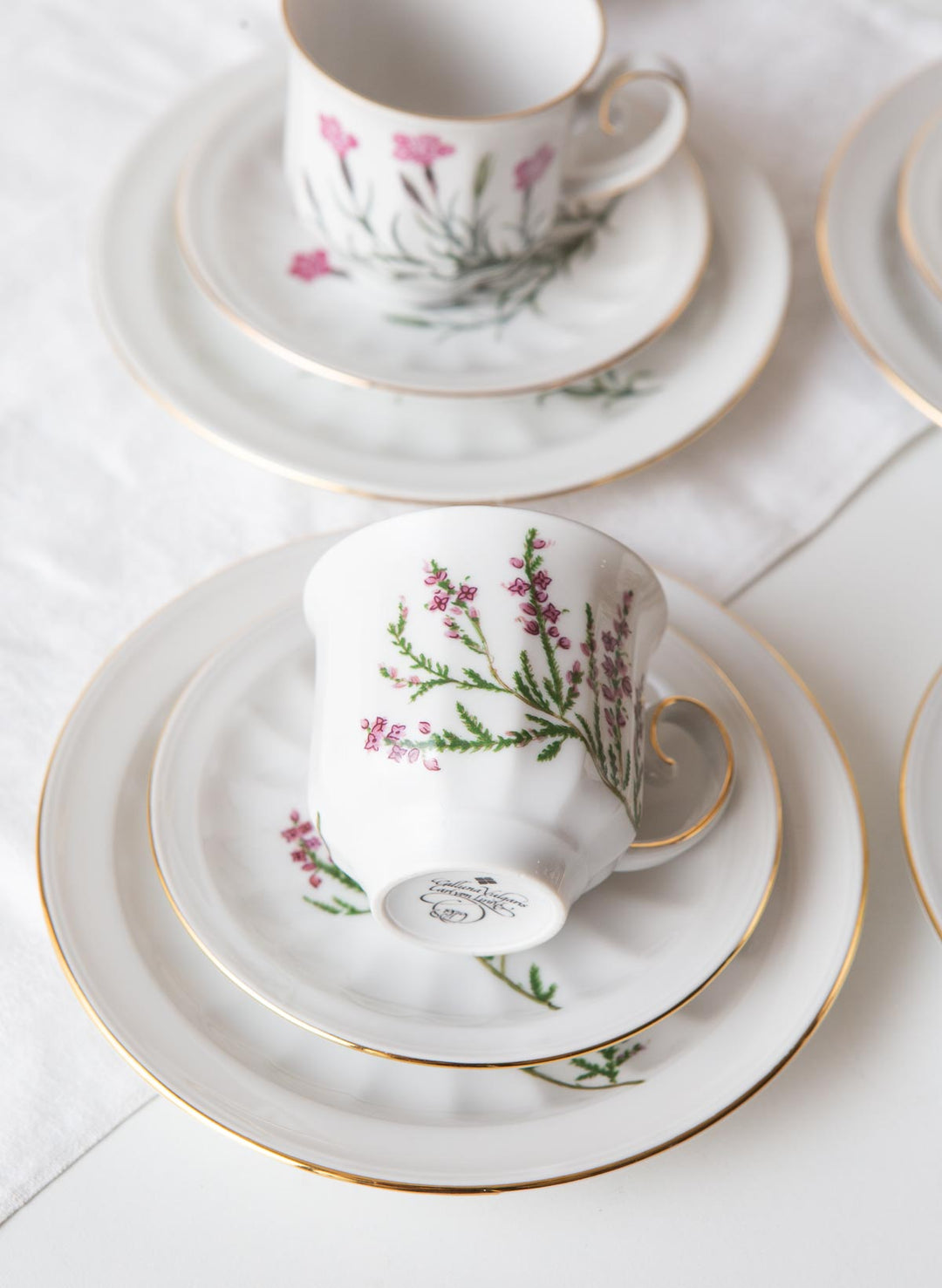 Juego de café y postre PARA 9 porcelana Tettau botánica "Carl von Linné" 1970-80s (28 PIEZAS)