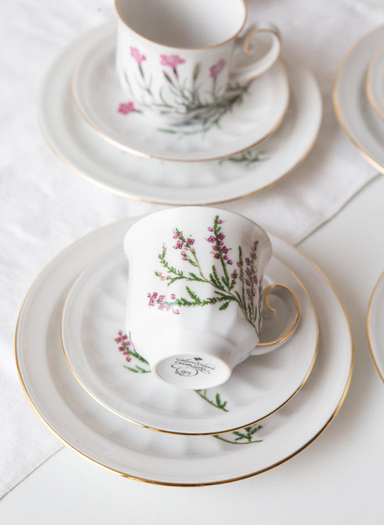 Juego de café y postre PARA 9 porcelana Tettau botánica "Carl von Linné" 1970-80s (28 PIEZAS)