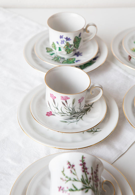 Juego de café y postre PARA 9 porcelana Tettau botánica "Carl von Linné" 1970-80s (28 PIEZAS)
