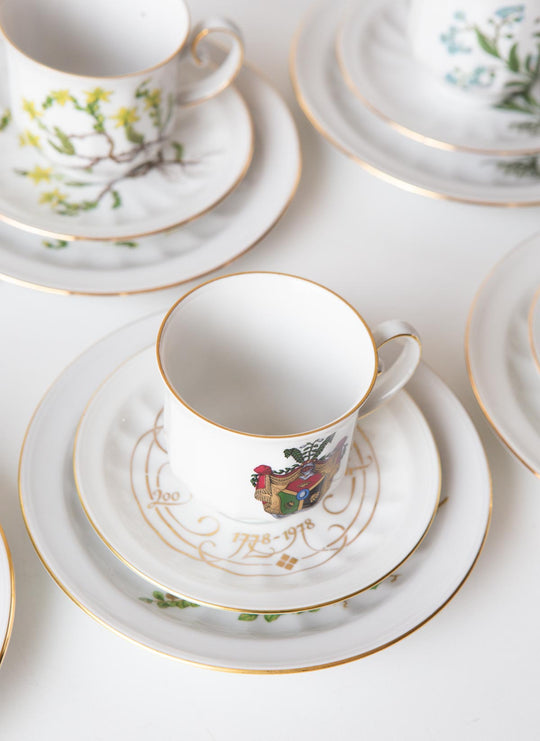 Juego de café y postre PARA 9 porcelana Tettau botánica "Carl von Linné" 1970-80s (28 PIEZAS)