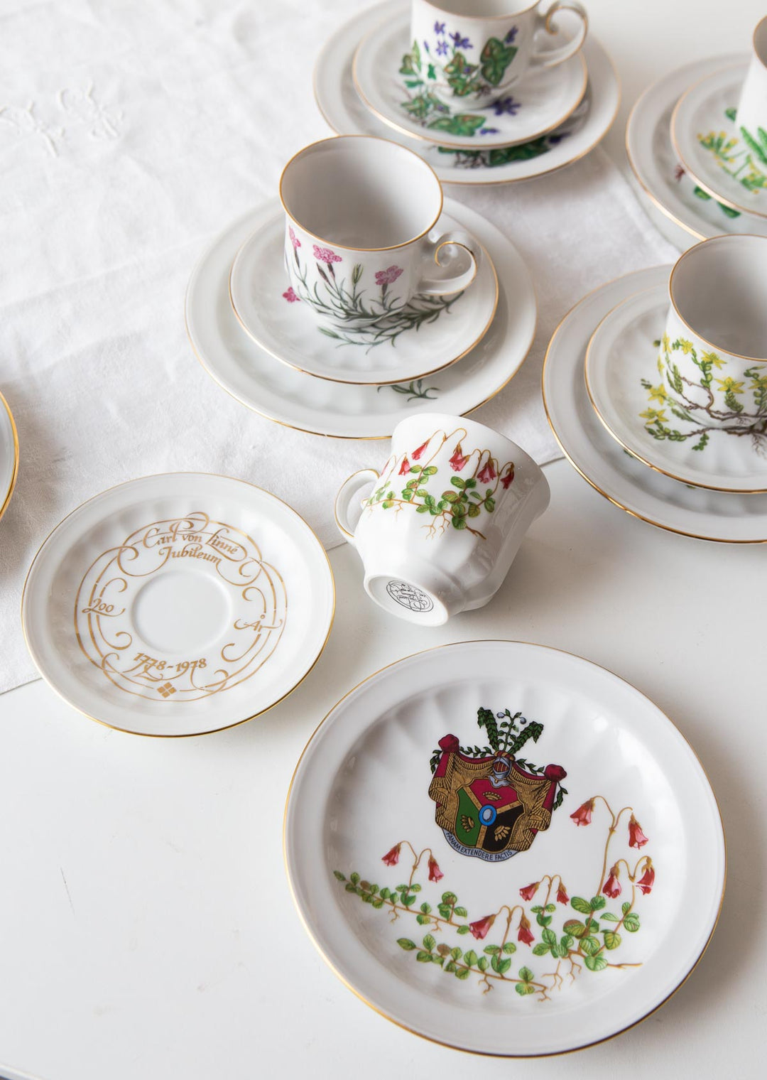 Juego de café y postre PARA 9 porcelana Tettau botánica "Carl von Linné" 1970-80s (28 PIEZAS)