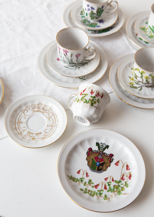 Juego de café y postre PARA 9 porcelana Tettau botánica "Carl von Linné" 1970-80s (28 PIEZAS)