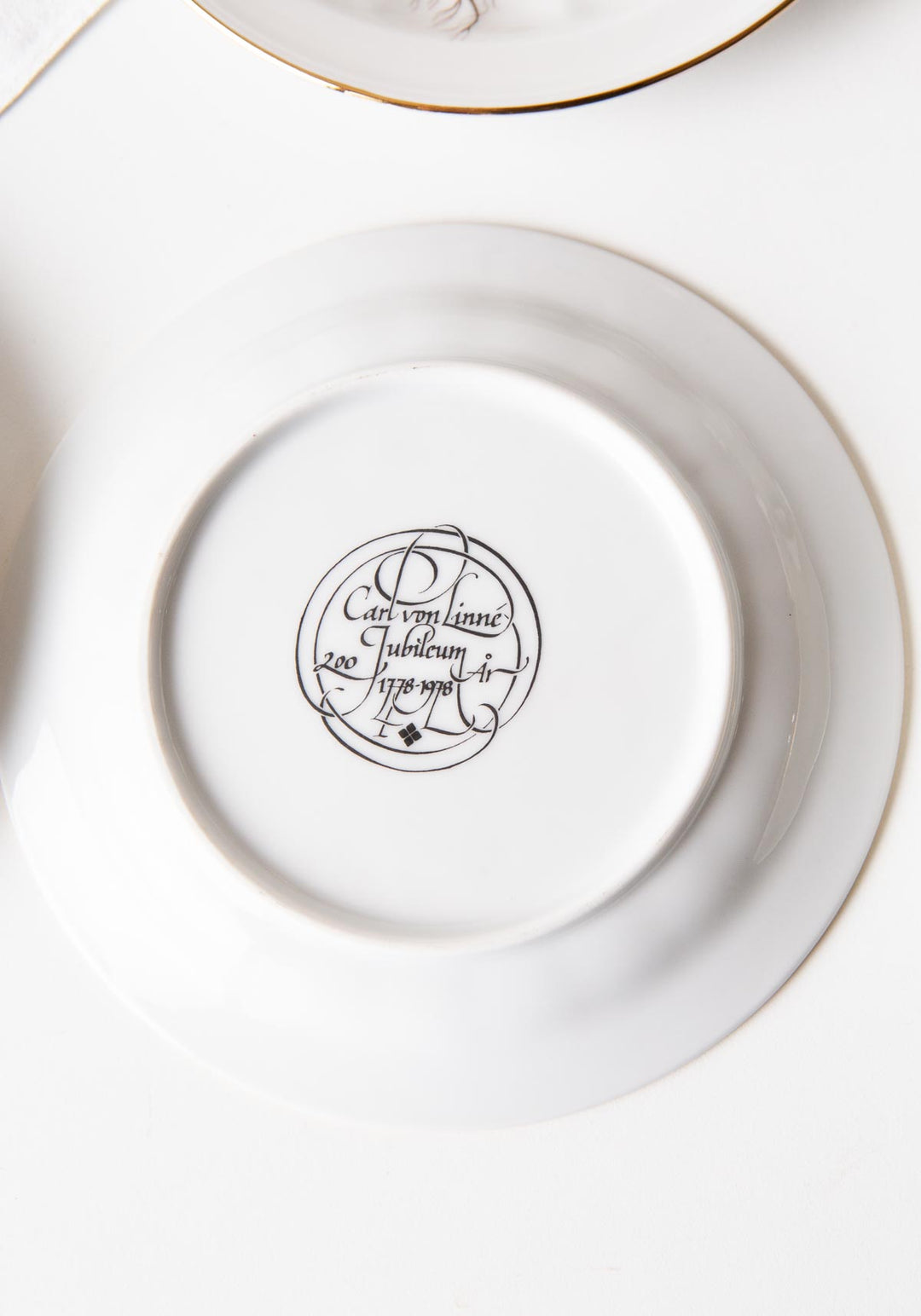 Juego de café y postre PARA 9 porcelana Tettau botánica "Carl von Linné" 1970-80s (28 PIEZAS)