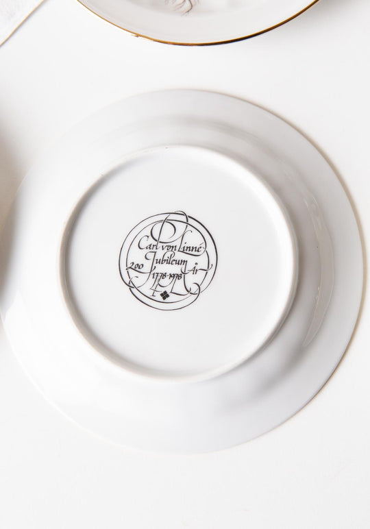 Juego de café y postre PARA 9 porcelana Tettau botánica "Carl von Linné" 1970-80s (28 PIEZAS)