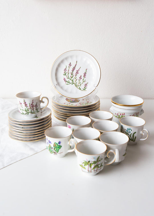 Juego de café y postre PARA 9 porcelana Tettau botánica "Carl von Linné" 1970-80s (28 PIEZAS)