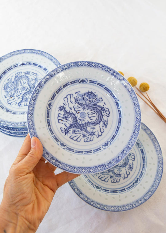 Juego 5 platos POSTRE porcelana china "grano de arroz" azul y blanca (18 cm)
