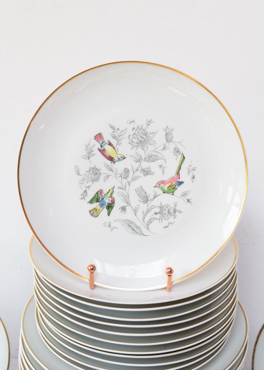 Vajilla francesa para 12 porcelana Limoges Bernardaud "Oiseaux des Iles" (56 PIEZAS)