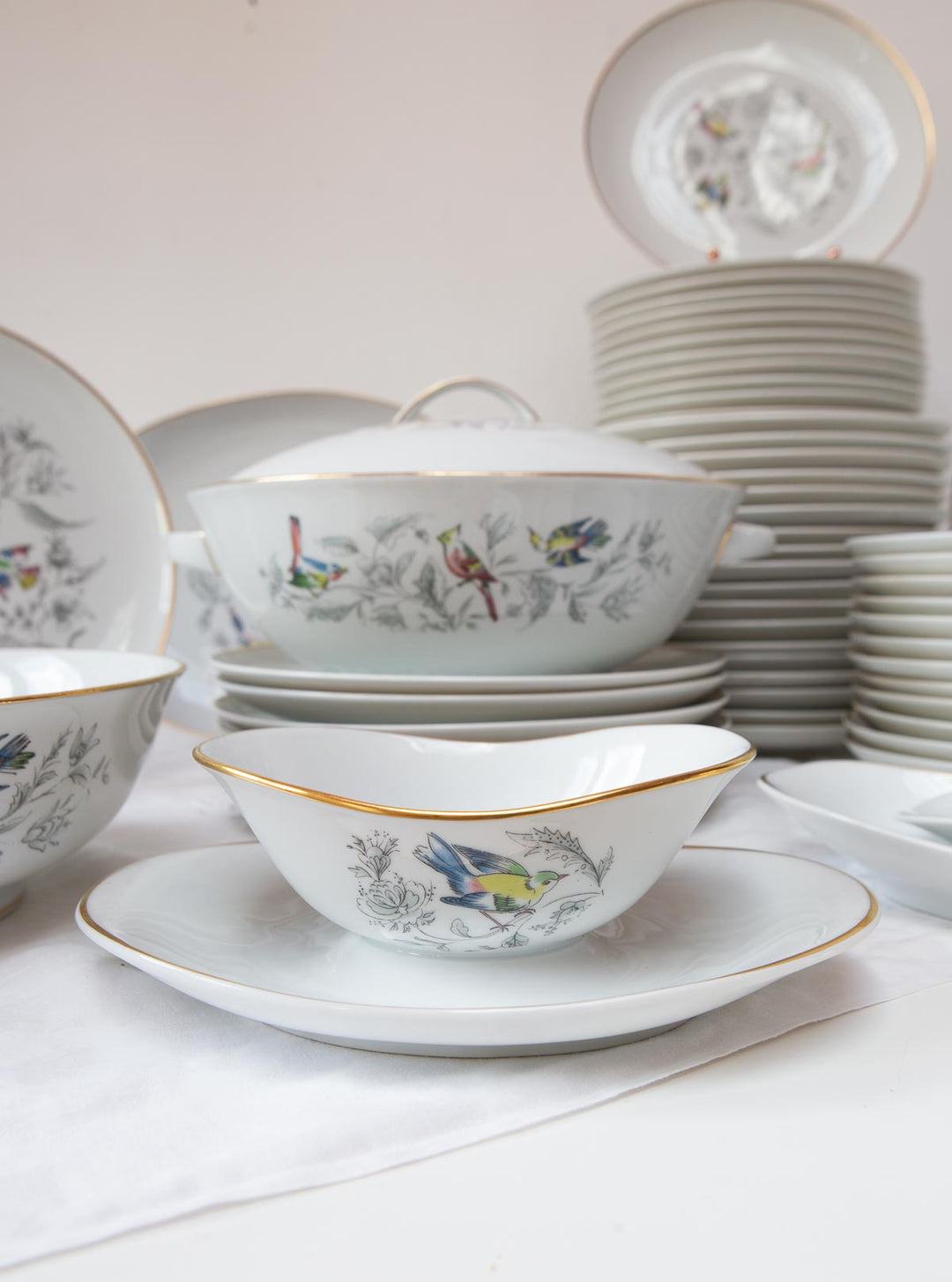 Vajilla francesa para 12 porcelana Limoges Bernardaud "Oiseaux des Iles" (56 PIEZAS)